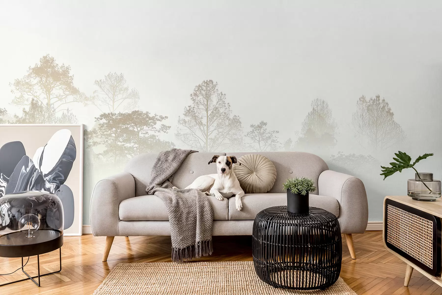 wall murals Силуета Грове стабала у густом белом јутарњој магли u97405