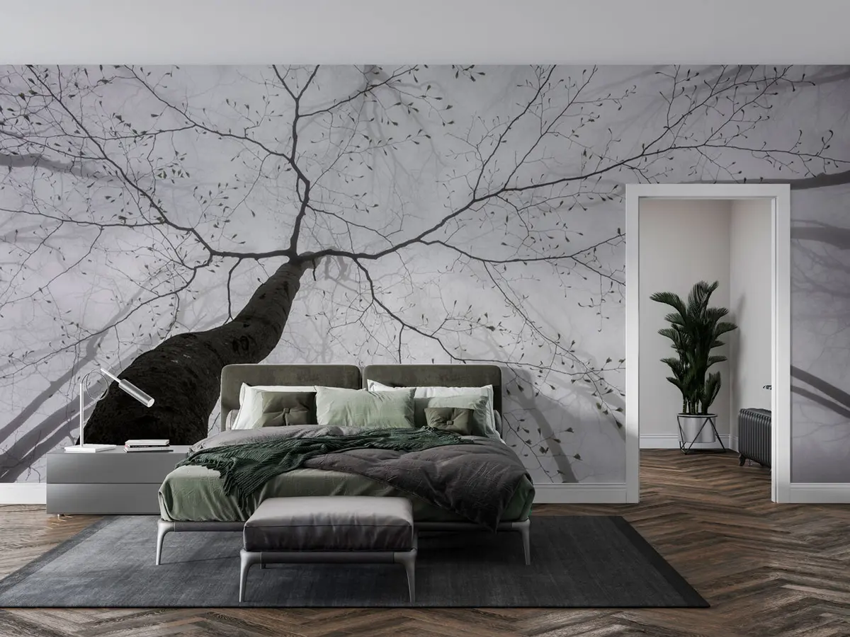 wall murals Магловито јутро у шуми u97391