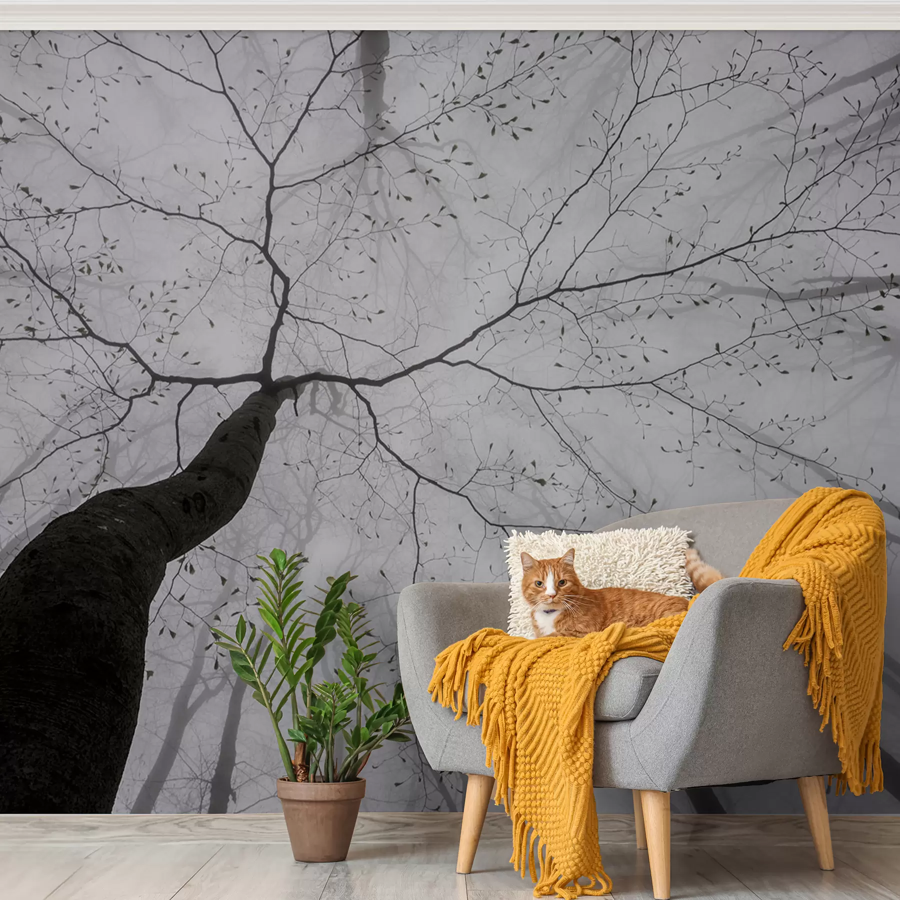 wall murals Магловито јутро у шуми u97391
