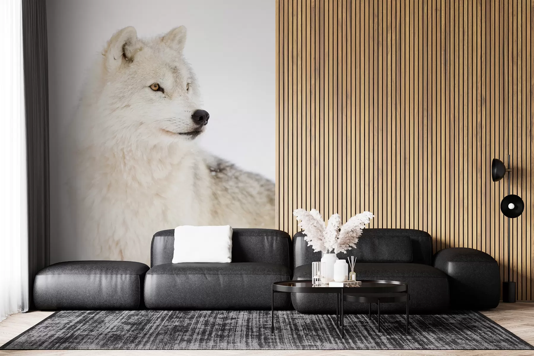wall murals Арктички вук на белој позадини u98189