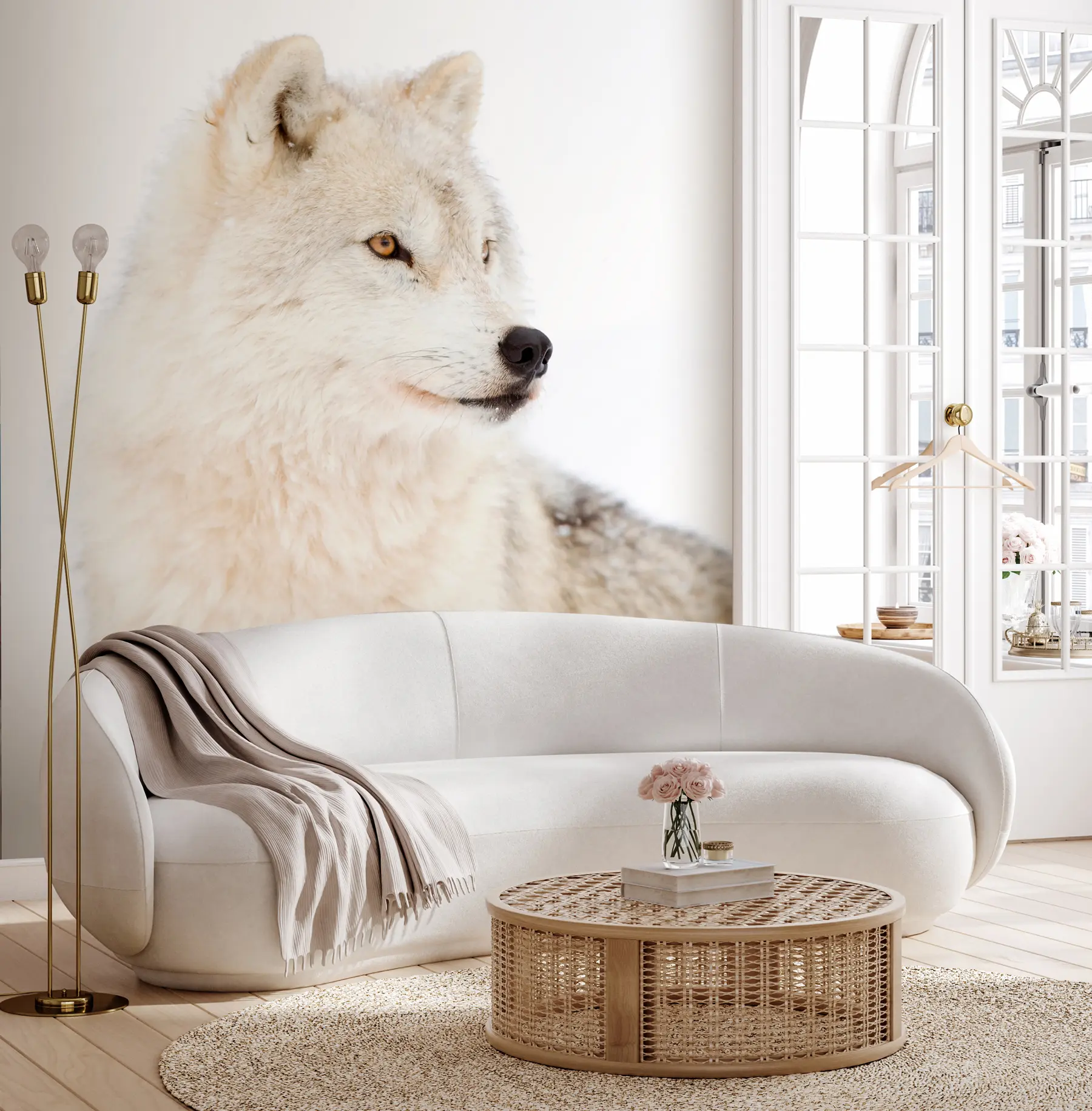 wall murals Арктички вук на белој позадини u98189