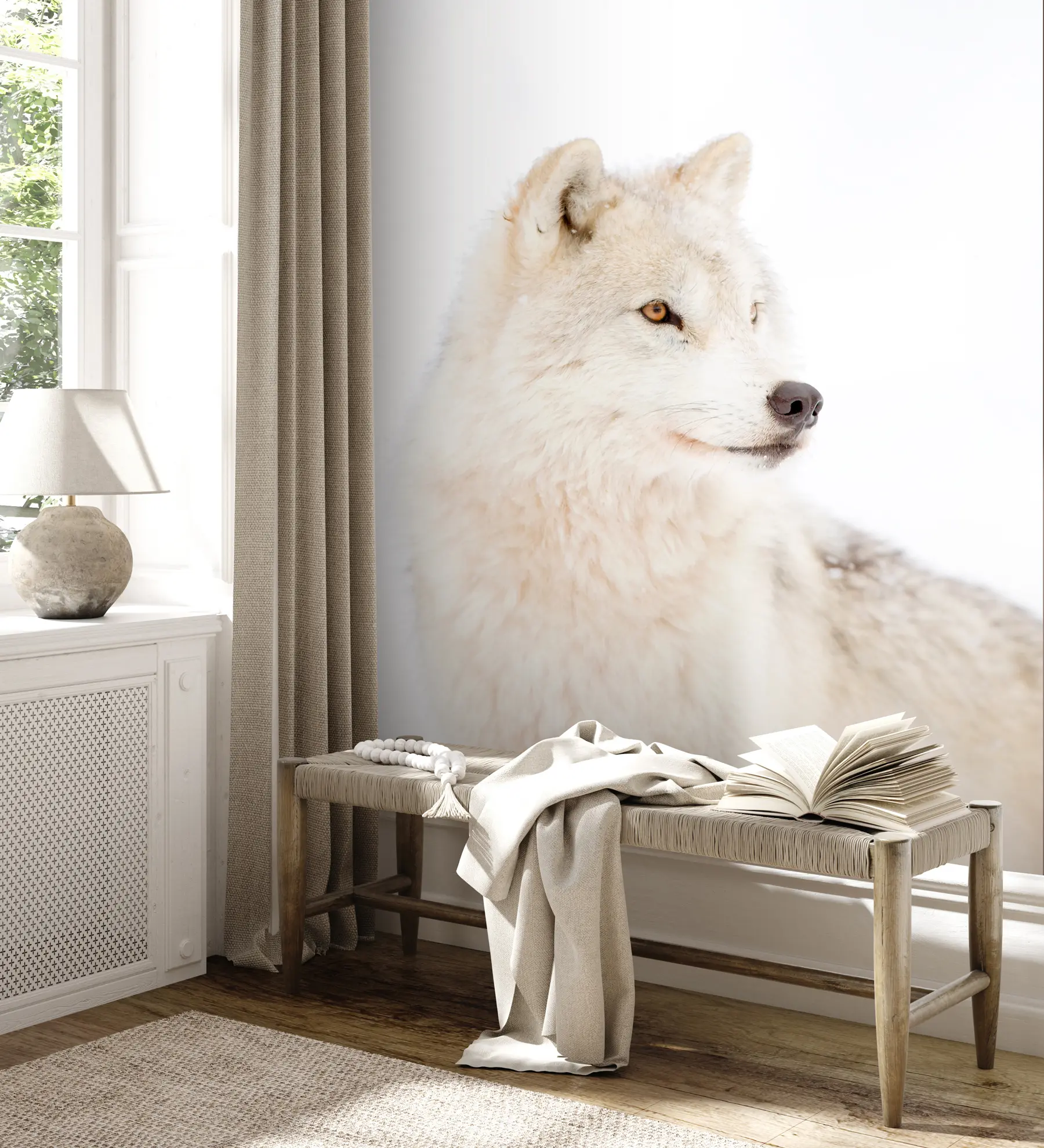 wall murals Арктички вук на белој позадини u98189