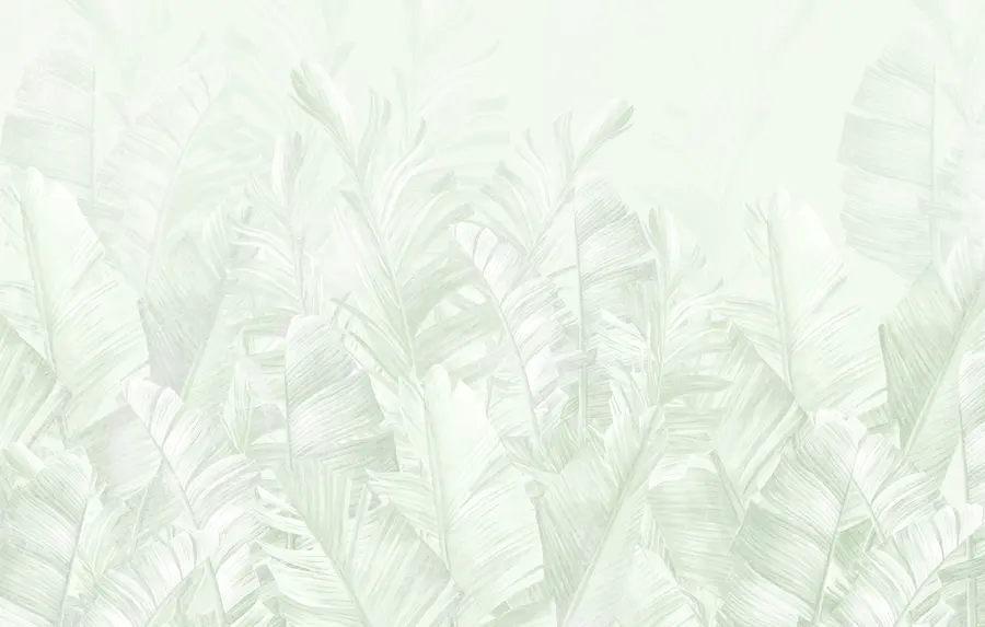 wall murals У тренду тропско зелено лишће u98951v4