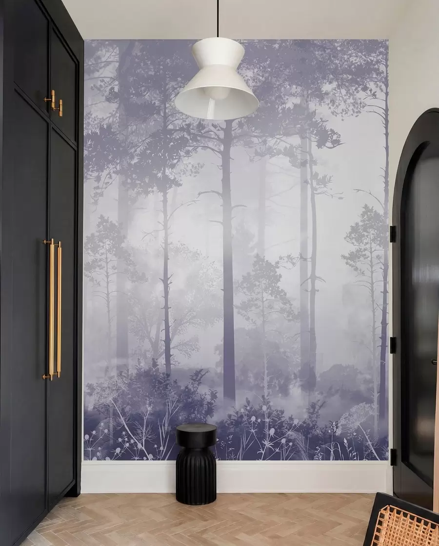 wall murals Шума у магли u94439v4